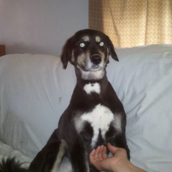 Meet your Posher, Cindy - Picture 1 of 1